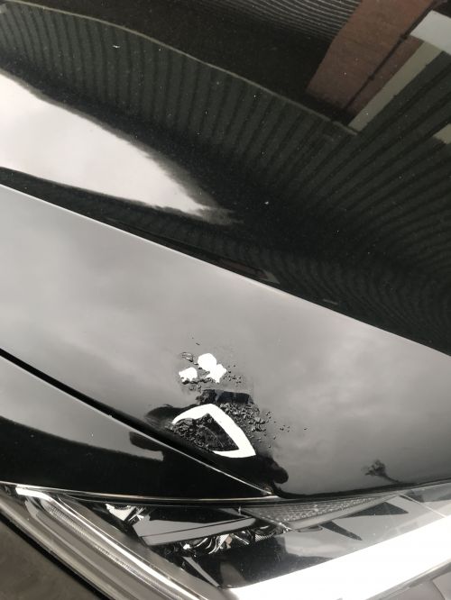 Click Here To Enlarge This Photo Of Seat Leon Car Body Repair Nottingham 